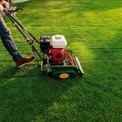 Classic Standard 20 in. 7-Blade Gas Walk Behind Lawn Mower